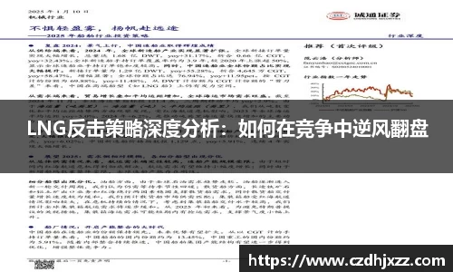 LNG反击策略深度分析：如何在竞争中逆风翻盘